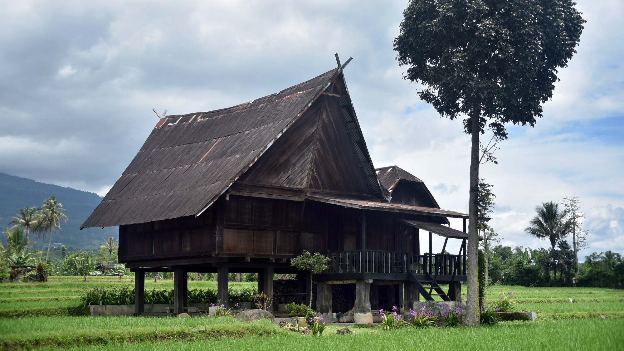 6 Rumah Adat Tradisional Di Pulau Jawa - IMAGESEE